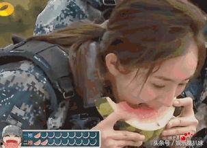 一代沙雕吃瓜群众视频,揭秘网络视频背后的狂欢与反思