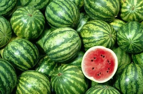 广东人吃贝贝瓜视频,贝贝瓜的独特风味之旅