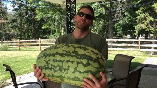 带你吃瓜玩具真实版视频,揭秘互动娱乐新体验