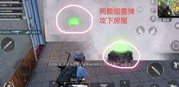 吃瓜车队怎么加入视频,如何轻松加入这个热门视频社群