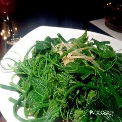 云南人吃佛手瓜好吗视频